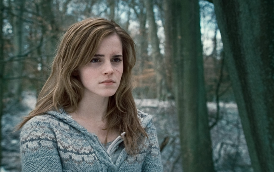 angela r fisher recommends images of hermione in harry potter pic