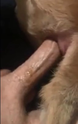 amanda szucs recommends Fucking A Dogs Pussy