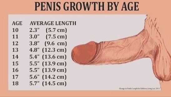 pene de 17 cm