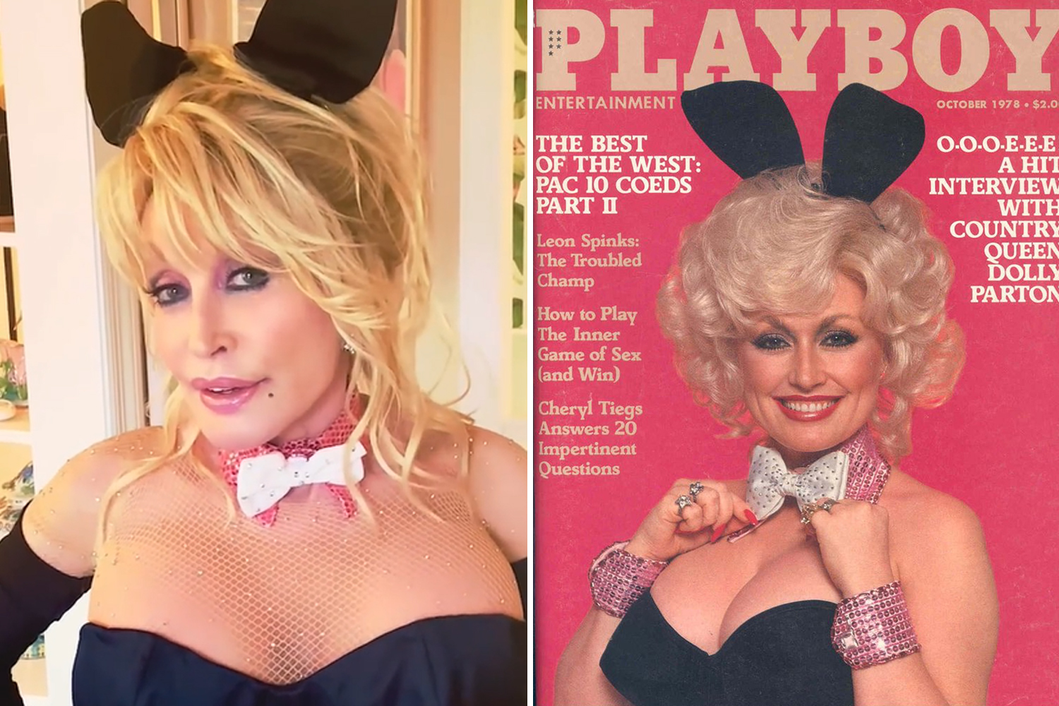 andre herman recommends dolly parton sexy pic