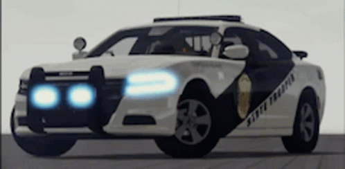 casey jenson recommends Police Car Gif