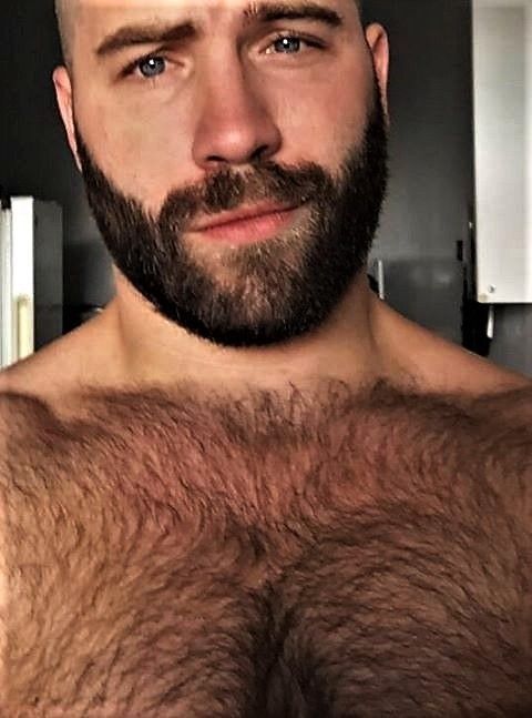 austin batchelder share big hairy chested men photos
