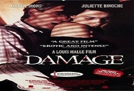 andrew savitz recommends Damage 1992 Watch Online