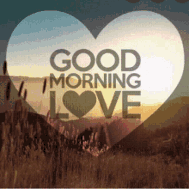 Best of Good morning darling gif