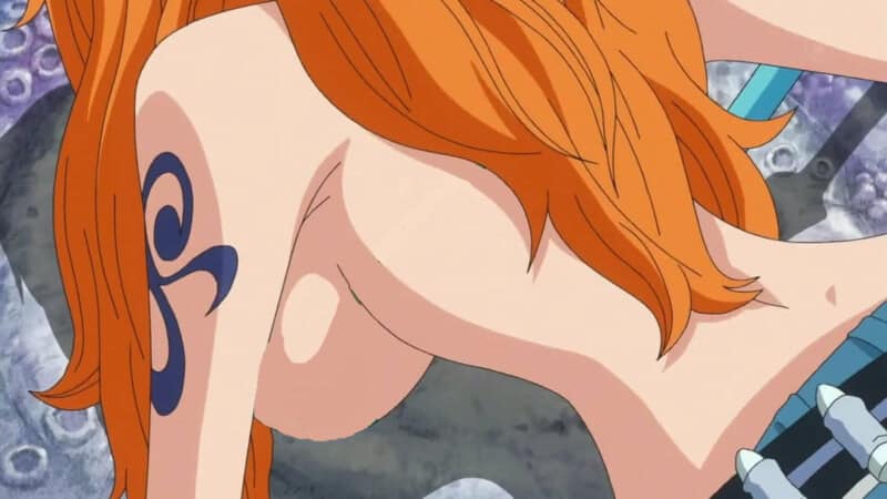 brianne holmes recommends One Piece Nami Boobs