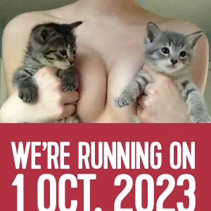 denise de vries add titties and kitties photo