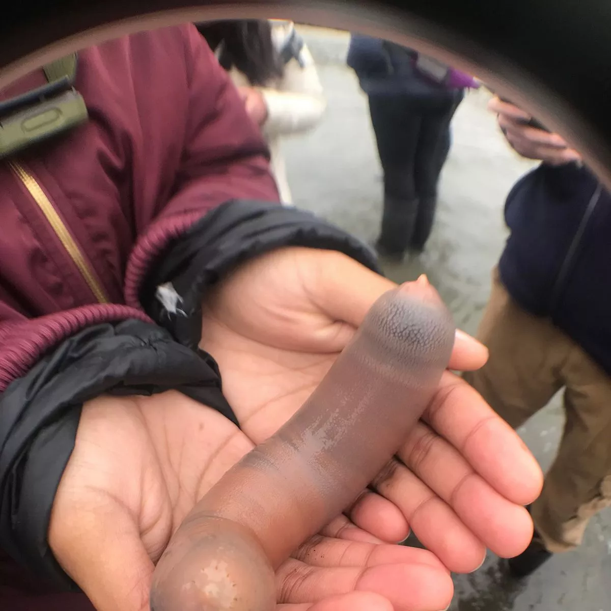 Best of A 10 inch penis