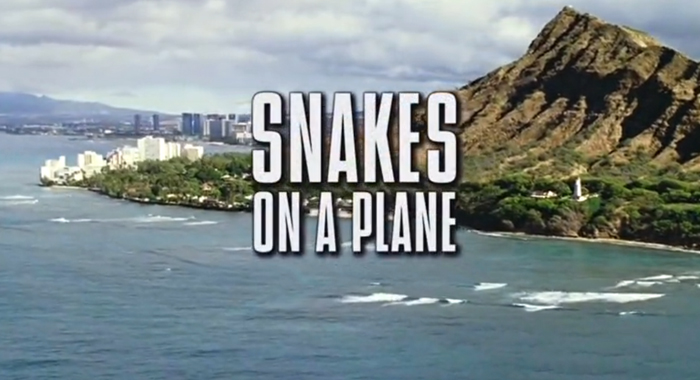 Snakes On A Plane Boobs uzumaki animepixxx