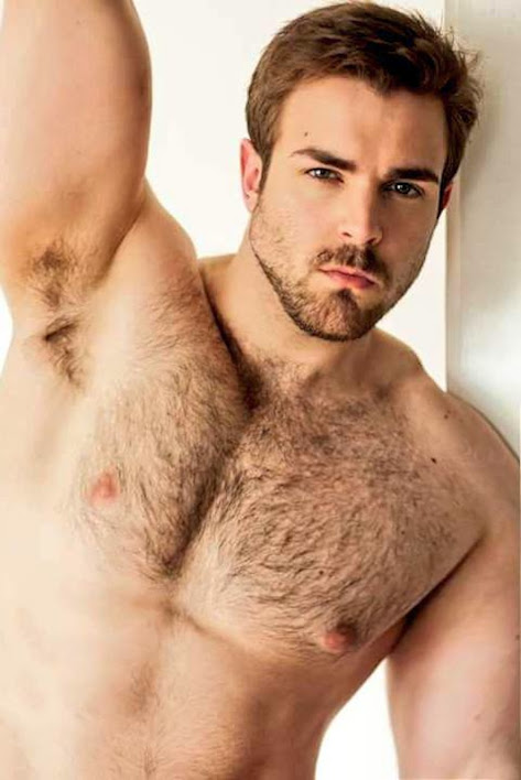 cathy darr recommends handsome hairy men tumblr pic
