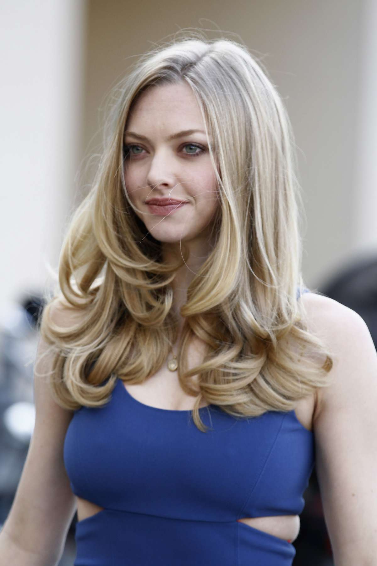 anitha gopi recommends amanda seyfried celeb jihad pic