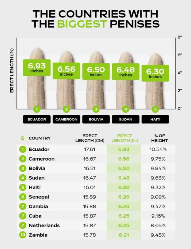 Average Size Penis Pics fotos hot