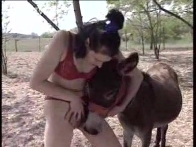 cousinit addams recommends girl has sex with donkey pic