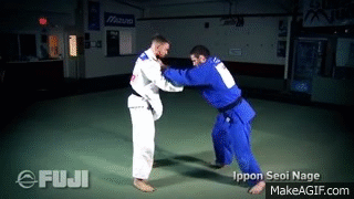 ali sumareh share do you want to do karate in the garage gif photos