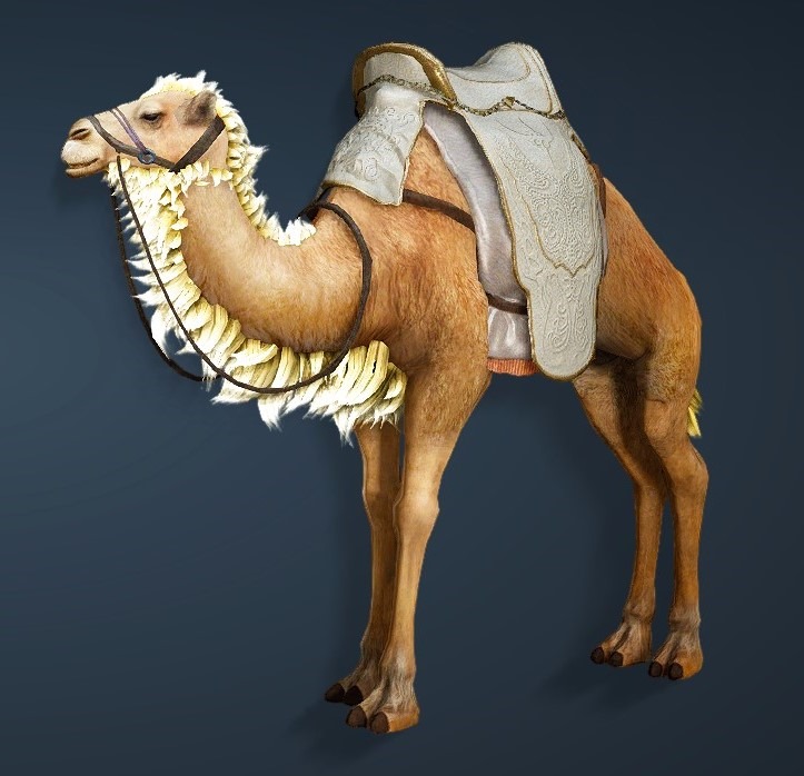dave simon recommends bdo how to get camel pic