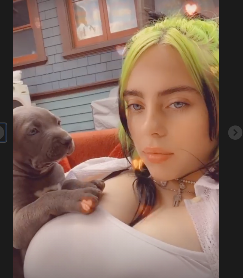 dee sherrill recommends billie eilish cleavage pic