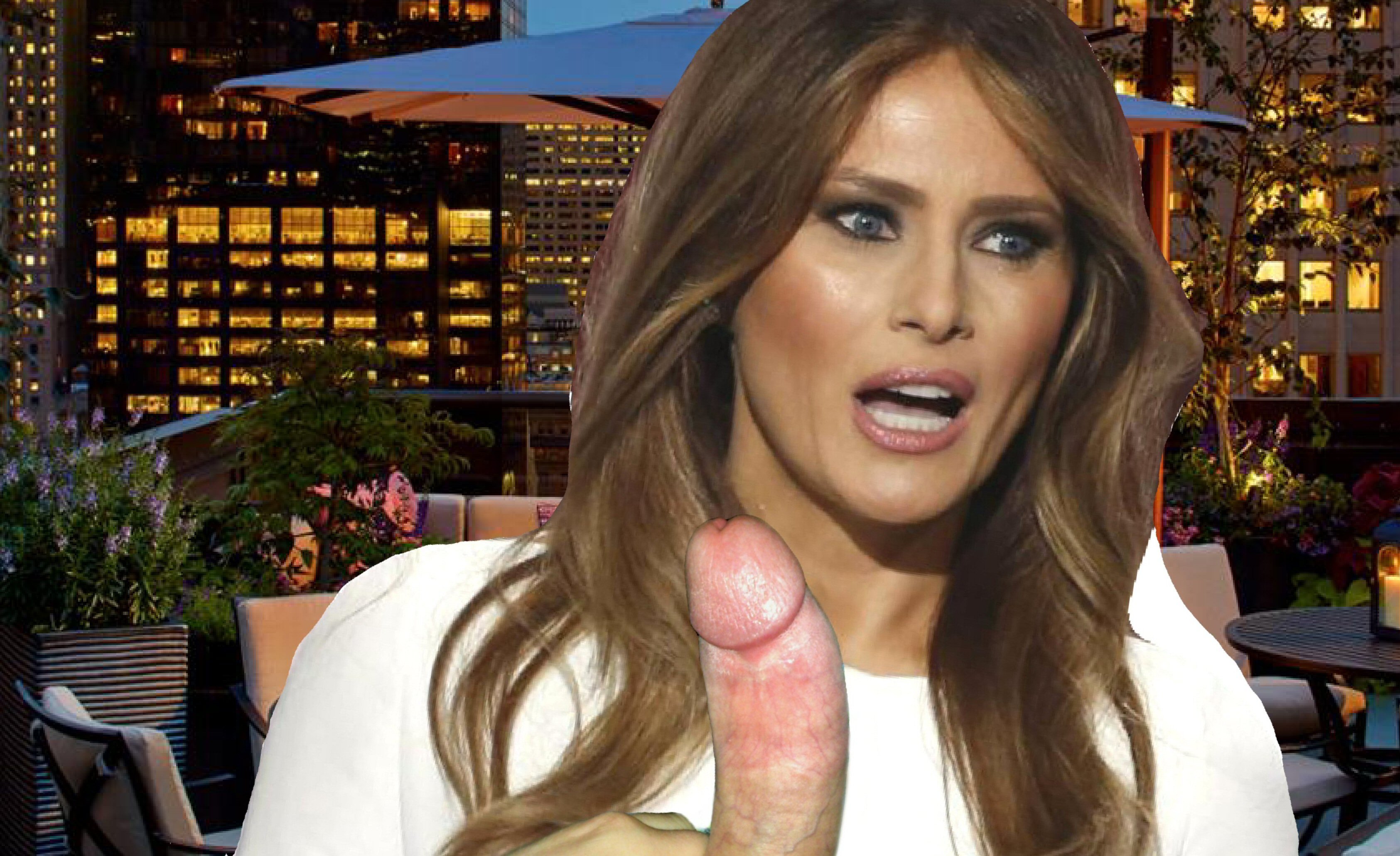 anand n krishnan recommends melania trump naked porn pic