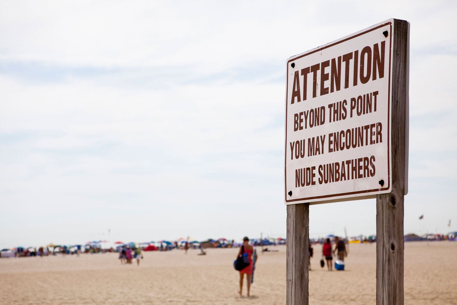 adam broering recommends california nude beach video pic