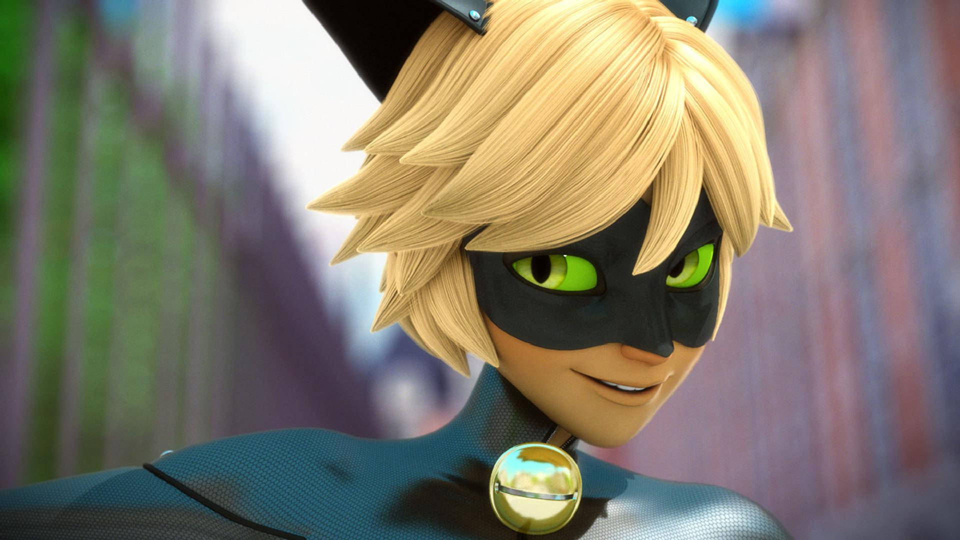 cat noir sexy