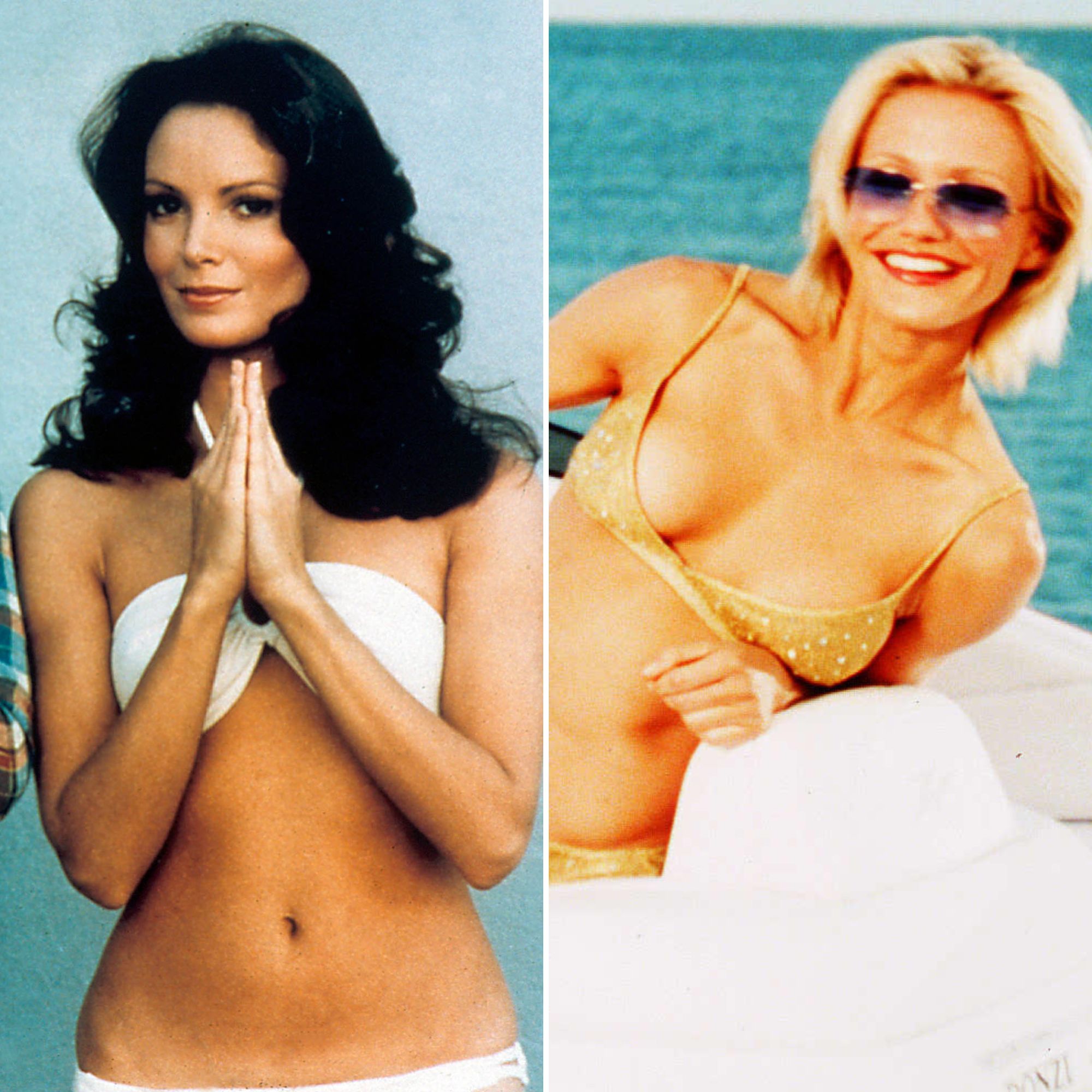 Jaclyn Smith In A Bikini gif passionate