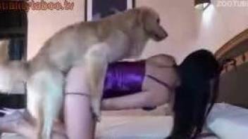 donnie robb add photo chick gets fucked by dog