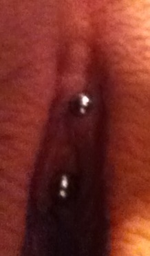 adham hany add photo clit piercing does it hurt
