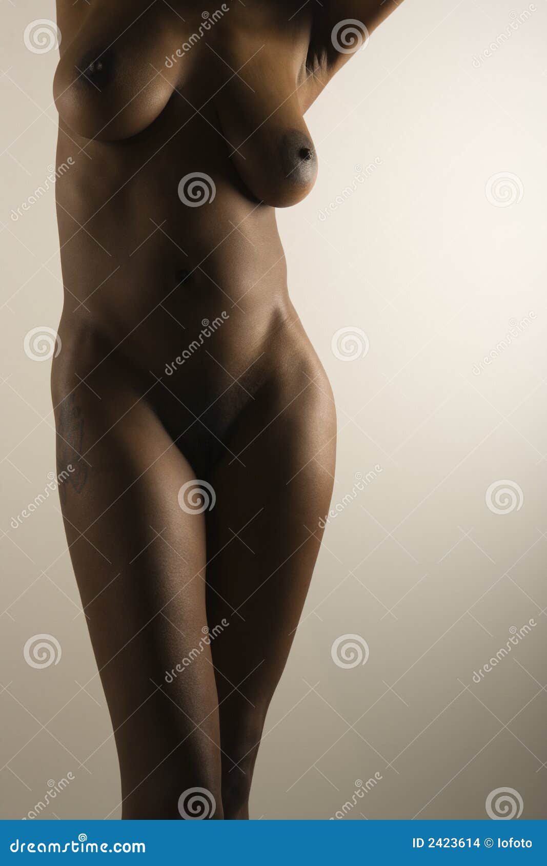 debbie mangan add the female body nude photo