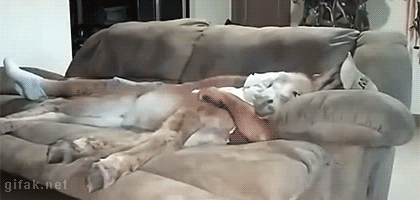 alexandra billings add cuddling on the couch gif photo