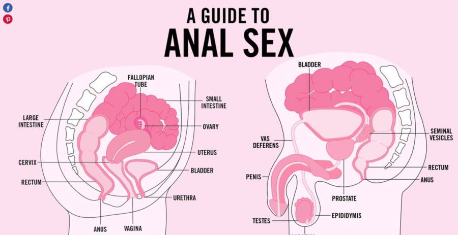 charles griffiths add photo how to have anal sex porn