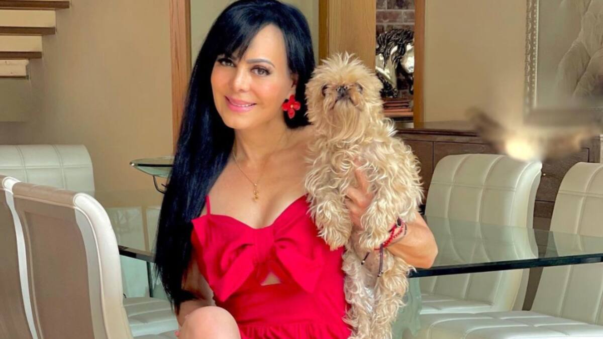 cullen hughes recommends descuido de maribel guardia pic