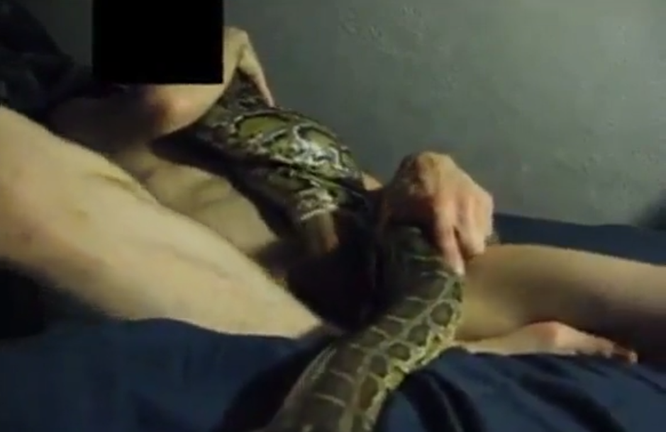 Guy Fucks A Snake fucks machine