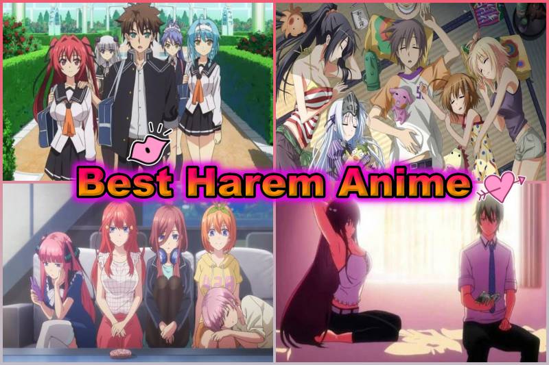 debbie dingler recommends top ten harem anime pic