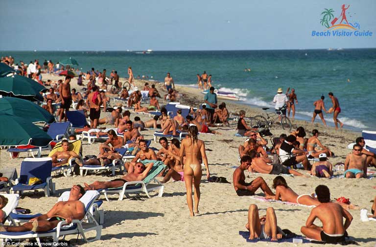 cliff strome recommends haulover nudist beach miami pic