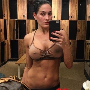 annmarie hilliard recommends nikki bella celeb jihad pic