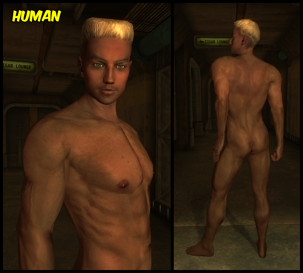 ashley nicole taylor add fallout 3 nude mods photo