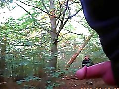 Flashing In The Woods head videos