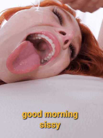 carol dreher recommends good morning blowjob gif pic