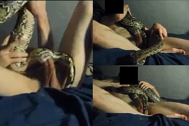 cathy hermosillo share guy fucks a snake photos