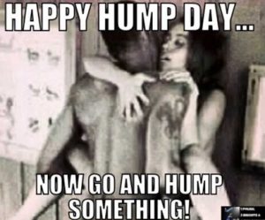 cindy drescher recommends happy hump day sex pic