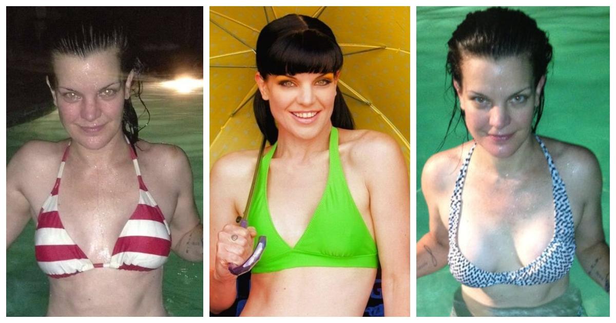 danyelle boyd recommends has pauley perrette ever been nude pic