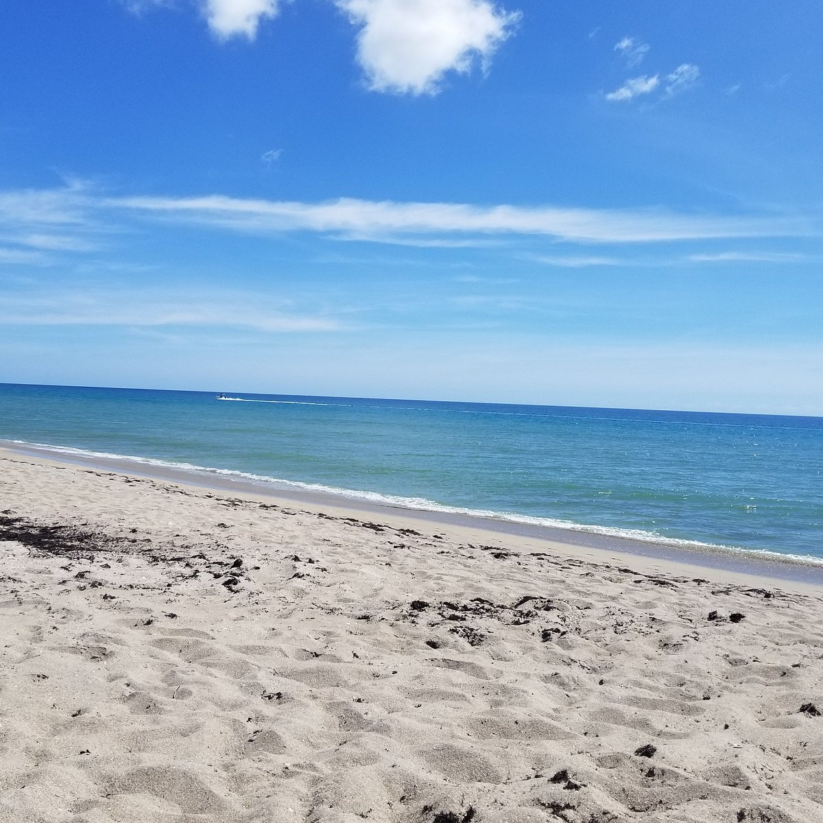 daniel mckinnon recommends High Island Nude Beach