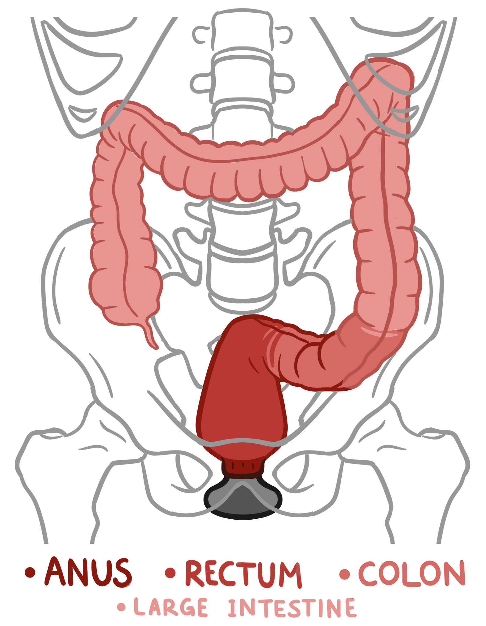 collins makokha recommends how to warm up for anal pic