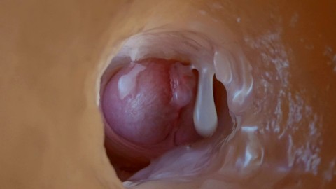 Inside Out Anal Porn softpornos kostenlos