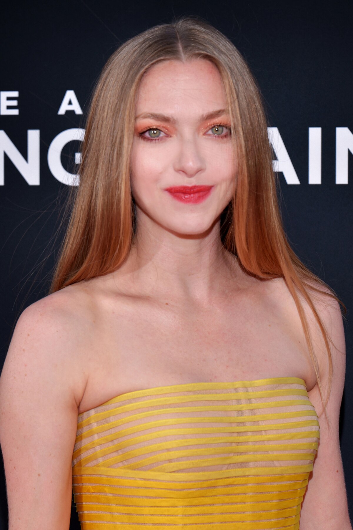 cristian abreu recommends Is Amanda Seyfried Lesbian