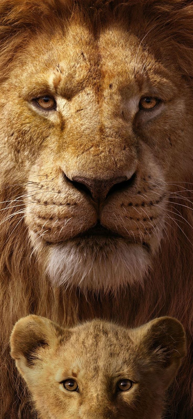 charlie baltazar share lion movie free download photos