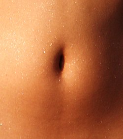 brad jolley recommends male belly button play pic