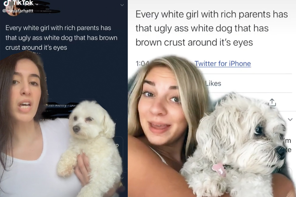 Mexican Women Fucking Dogs new stories
