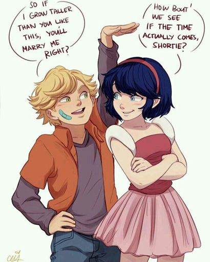 miraculous ladybug and cat noir fanfiction