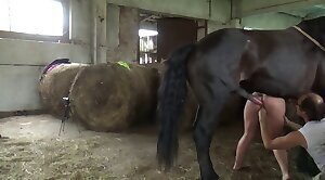 alexander cummings recommends mujer penetrada por caballo pic