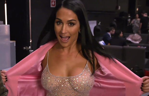 charmaine cloete recommends nikki bella boobs real pic