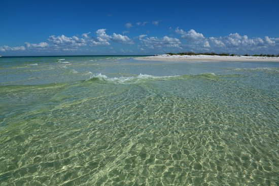 Best of Nude beach in tampa